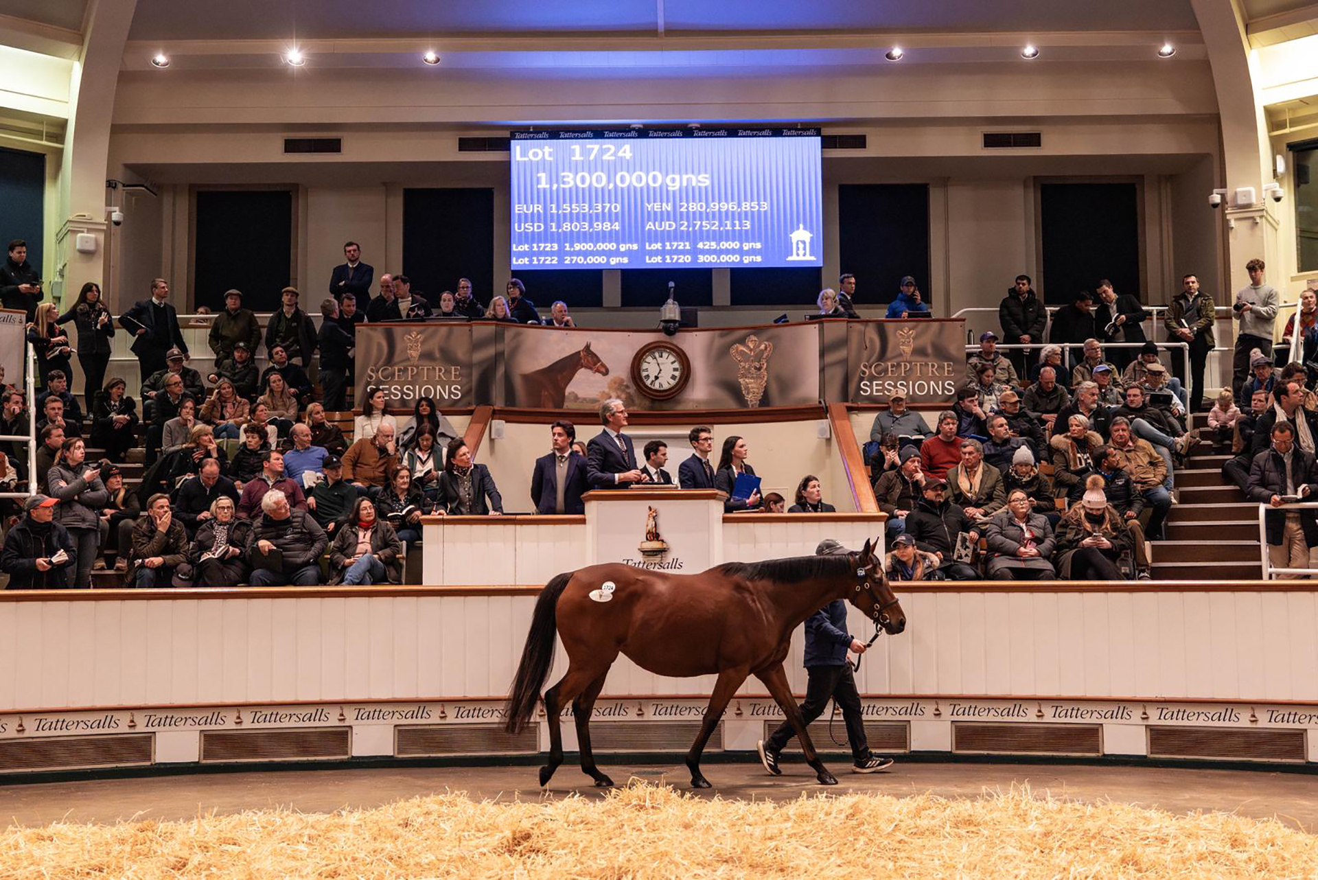 A Memorable Night at Park Paddocks