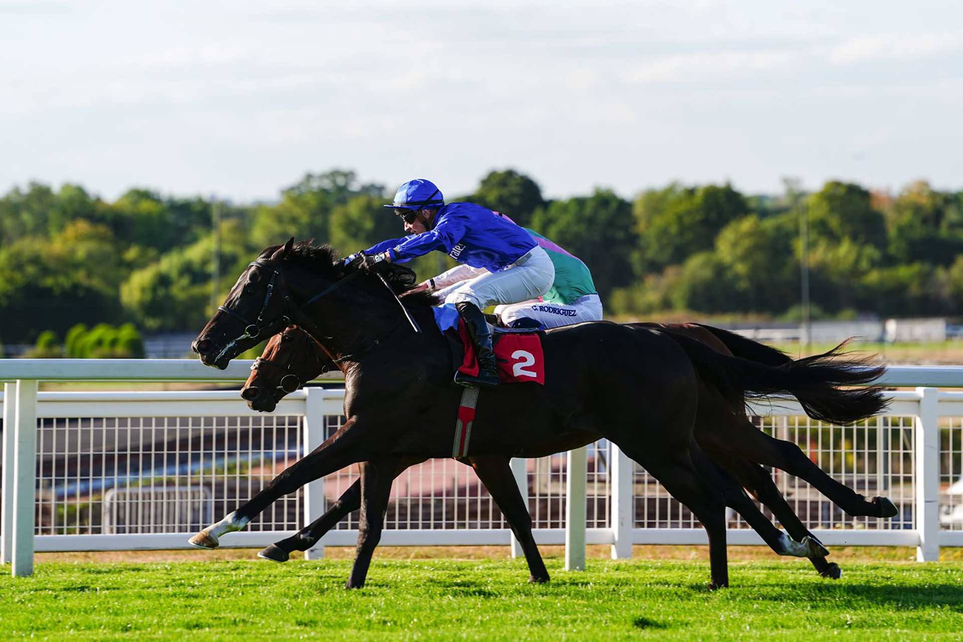 Too Darn Hot’s Juveniles Continue a Record-Setting Season