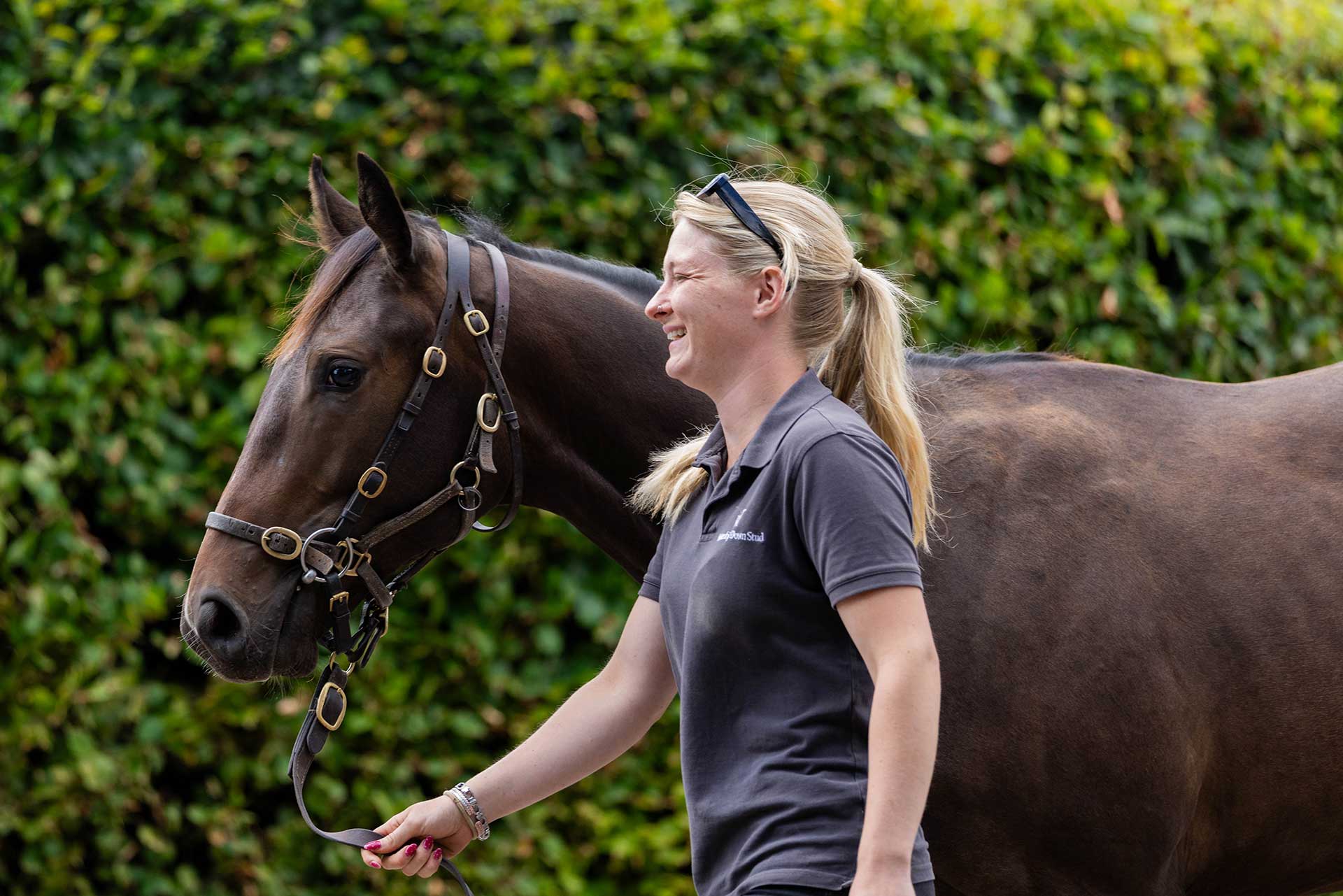 The Road to the Yearling Sales