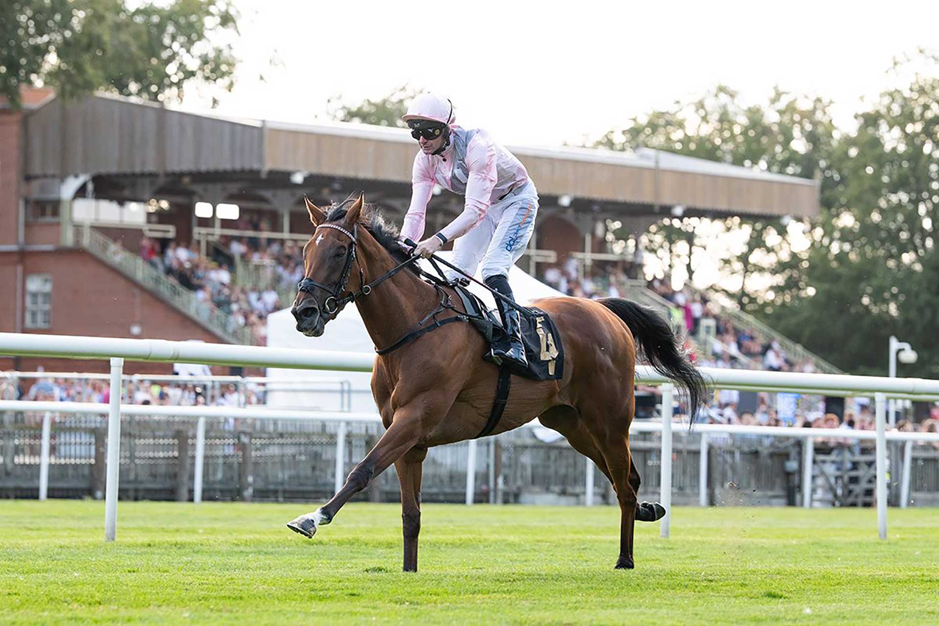 Without Prejudice, a half-sister to Emily Upjohn, wins on debut